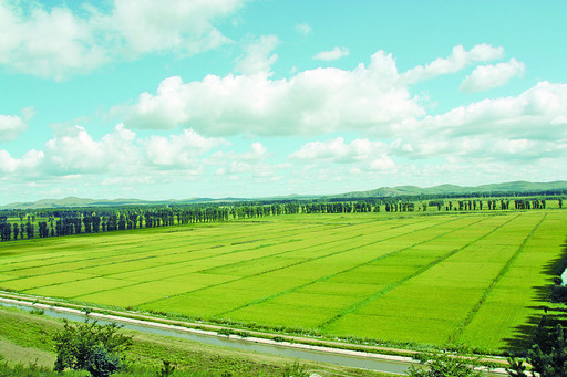大力發(fā)展農(nóng)牧業(yè)實現(xiàn)農(nóng)畜產(chǎn)品加工業(yè)高端化